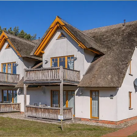 Wassermann Лоддин